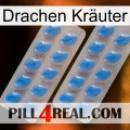 Drachen Kräuter 23
